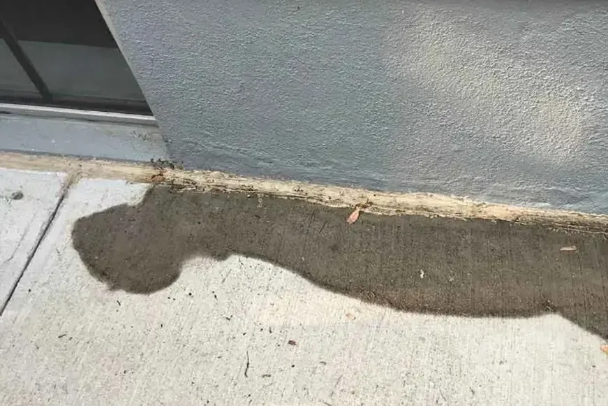 Water seeping up through a concrete slab floor along the base of a wall